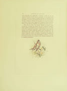 Nos oiseaux, aquarelles de Hector Giacomelli par Theuriet, André. - Image 6
