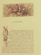 Nos oiseaux, aquarelles de Hector Giacomelli par Theuriet, André. - Image 9