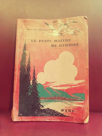 Le petit maître de Kerroz
