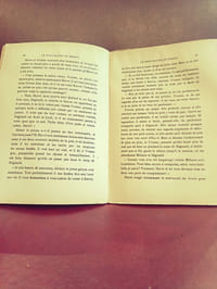 Le petit maître de Kerroz