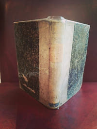 La constitution de l'Angleterre considérée dans ses rapports avec la loi de Dieu et les coutumes de la paix sociale précédée d'aperçus sommaires sur la nature du sol et l'histoire de la race tome 2