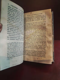 La constitution de l'Angleterre considérée dans ses rapports avec la loi de Dieu et les coutumes de la paix sociale précédée d'aperçus sommaires sur la nature du sol et l'histoire de la race tome 2