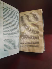 La constitution de l'Angleterre considérée dans ses rapports avec la loi de Dieu et les coutumes de la paix sociale précédée d'aperçus sommaires sur la nature du sol et l'histoire de la race tome 2