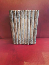 Superbe série homogène regroupant des textes fondateurs et des curiosités littéraires du XIXe siècle :Daphnis et Chloé (Longus) : Le grand classique pastoral.Adolphe (B. Constant) : Le chef-d'œuvre du roman psychologique.Les débuts d'un homme de lettres (A. Daudet).Le violon de faïence (Champfleury).Mes prisons (Sylvio Pellico).Historiettes (Henry Aubanel).Le roman du capucin (Henri Murger).La dernière croisade (René Maizeroy).