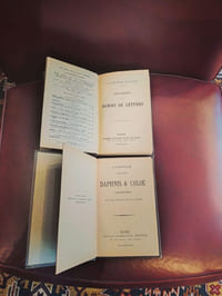 Superbe série homogène regroupant des textes fondateurs et des curiosités littéraires du XIXe siècle :Daphnis et Chloé (Longus) : Le grand classique pastoral.Adolphe (B. Constant) : Le chef-d'œuvre du roman psychologique.Les débuts d'un homme de lettres (A. Daudet).Le violon de faïence (Champfleury).Mes prisons (Sylvio Pellico).Historiettes (Henry Aubanel).Le roman du capucin (Henri Murger).La dernière croisade (René Maizeroy).