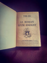 Le roman d'un enfant