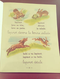 Allons au bois joli (1er livret)