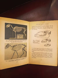 Histoire de la terre et des êtres vivants