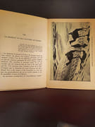 La Vie du Chameau par Finbert, E. - Image 3