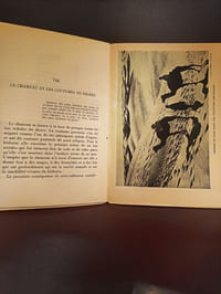 La Vie du Chameau