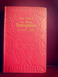 le petit fauconnier de Louis XIII