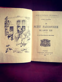 le petit fauconnier de Louis XIII