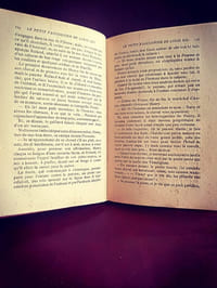 le petit fauconnier de Louis XIII