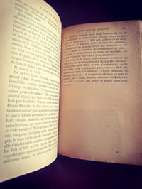 L'auréole brisée