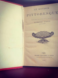 Le magasin pittoresque 