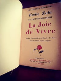 La joie de vivre