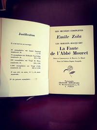 La faute de l'abbé Mouret