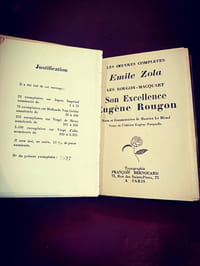 Son excellence Eugène Rougon