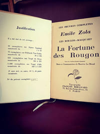 La fortune des Rougon