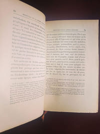 Esthétique de la langue française