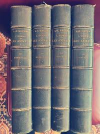 Merveilles de la Nature (9 tomes):L'Homme et les Animaux (4 tomes) : Mammifères (T1 & T2) et Oiseaux (T1 & T2).Les Insectes (2 tomes) : Incluant les Myriapodes, Arachnides et Crustacés. Les Reptiles et les Batraciens Les Poissons et les Crustacés Les Vers, les Mollusques et les Zoophytes