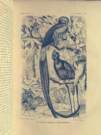 Merveilles de la Nature (9 tomes):L'Homme et les Animaux (4 tomes) : Mammifères (T1 & T2) et Oiseaux (T1 & T2).Les Insectes (2 tomes) : Incluant les Myriapodes, Arachnides et Crustacés. Les Reptiles et les Batraciens Les Poissons et les Crustacés Les Vers, les Mollusques et les Zoophytes