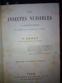 Les Insectes Nuisibles