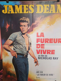 La fureur de vivre