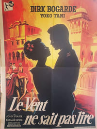 Le vent ne sait pas lire 