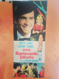 une ravissante idiote