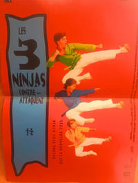 lot 2 affiches Ninja kids & les 3 ninja contre attaquent