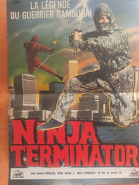 Ninja terminator