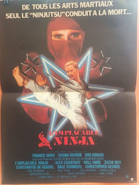 L'implacable ninja