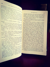 Les Rougon-Macquart