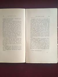 Le pretre marié tome 1