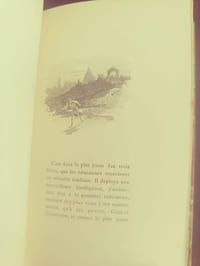 Le Porteur de sachet.