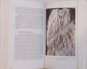 Croyances & rites en Rouergue des origines &agrave; l'an mil.  Philippe Gruat / Jean Delmas