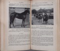 Le Cheval &agrave; la fin du XXe si&egrave;cle. Michel Jussiaux