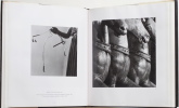 Metamorphoses. Greek photographs/ Daniel Schwartz