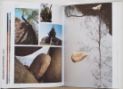  Sidobre, haut lieu du Tarn. .  Patrick Urbano / Donatien Rousseau 