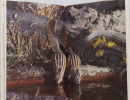 Mammals of America. John Burton