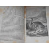 &Agrave; Travers L'Australie R&eacute;cits De D&eacute;couvertes Exploration Impressions Voyage 1880 . 