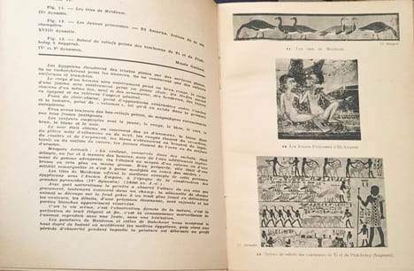 L'évolution de l'art antique - egypte asie occidentale grece rome. Alfred Leroy