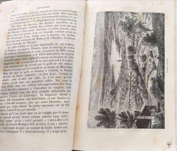 Géographie. La terre à vol d'oiseau tome 1 et 2 ( 176+194 gravures sur bois)