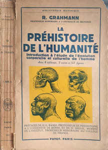 La préhistoire de l'humanité