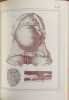 Manuel d'anatomie descriptive du corps humain - Complet en cinq volumes. Cloquet