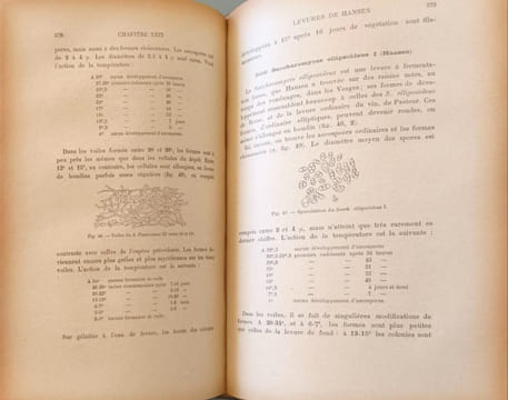 Traité de Microbiologie.Tome 3 Fermentation alcoolique. E. Duclaux