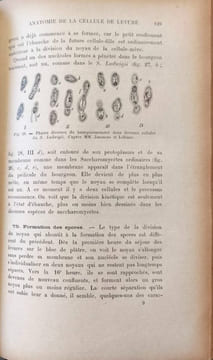 Traité de Microbiologie.Tome 3 Fermentation alcoolique. E. Duclaux