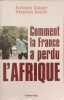 Comment la France a perdu l'Afrique. Glaser Antoine  Smith Stephen