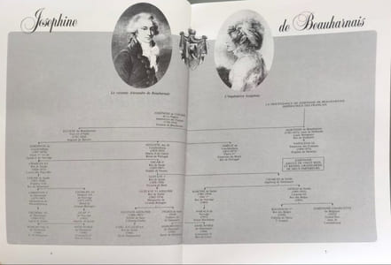 Histoires de familles royales/ imperatrice josephine -louis philippe et leurs descendances de 1800 à nos jours